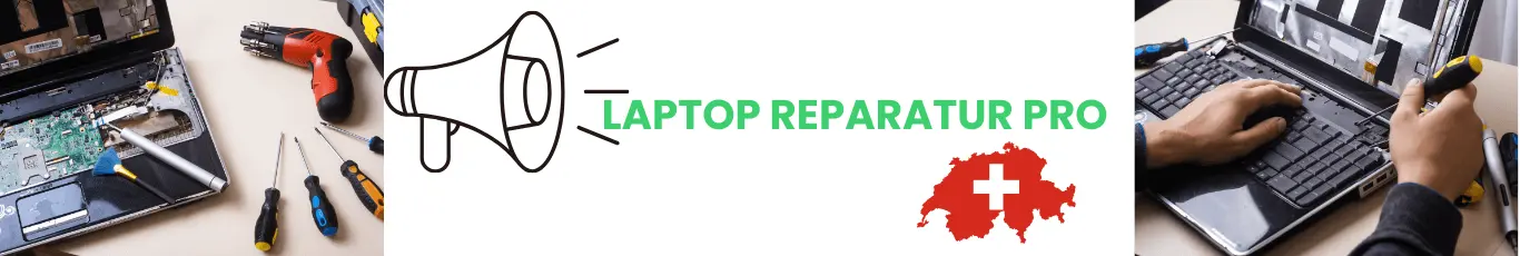 Laptop Reparatur Simpelfix